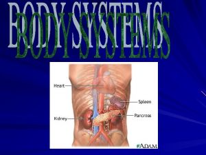 Body is organized into four levels Cells Tissues