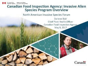 Canadian Food Inspection Agency Invasive Alien Species Program