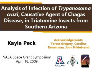Analysis of Infection of Trypanosoma cruzi Causative Agent