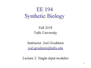 EE 194 Synthetic Biology Fall 2018 Tufts University