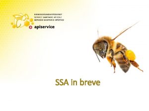 SSA in breve Organizzazioni apistiche Associazione interprofessionale Centro