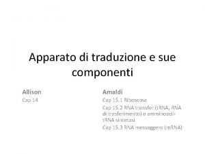 Apparato di traduzione e sue componenti Allison Amaldi