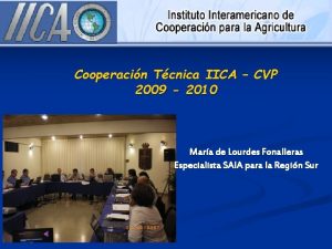 Cooperacin Tcnica IICA CVP 2009 2010 Mara de