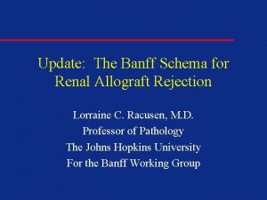 Update The Banff Schema for Renal Allograft Rejection