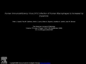 Human Immunodeficiency Virus HIV Infection of Human Macrophages