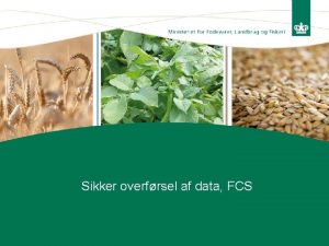 Sikker overfrsel af data FCS Overblik over systemer