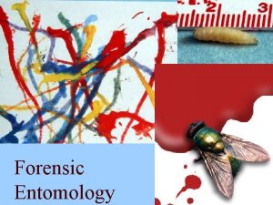 Forensic Entomology Forensic Entomology the use of arthropods