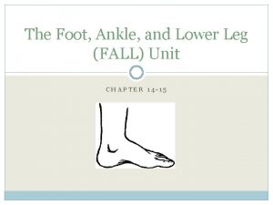 The Foot Ankle and Lower Leg FALL Unit