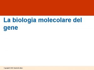 La biologia molecolare del gene Copyright 2006 Zanichelli