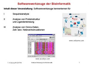 Softwarewerkzeuge der Bioinformatik Inhalt dieser Veranstaltung Softwarewerkzeuge kennenlernen