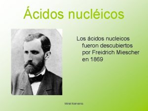 cidos nuclicos Los cidos nucleicos fueron descubiertos por