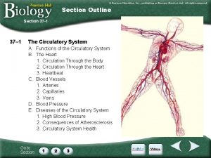 Section Outline Section 37 1 37 1 The