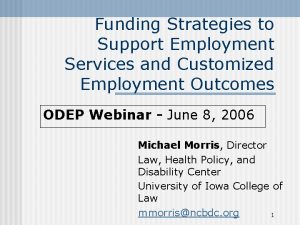 Funding Strategies to Support Employment Services and Customized