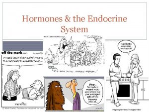Hormones the Endocrine System Hormones Hormone a chemical