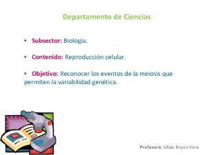 Departamento de Ciencias Subsector Biologa Contenido Reproduccin celular