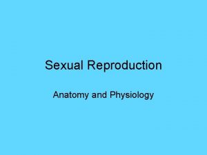 Sexual Reproduction Anatomy and Physiology Male Reproductive System