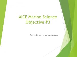 AICE Marine Science Objective 3 Energetics of marine