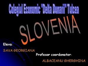 Eleva SAVA GEORGIANA Profesor coordonator ALBACEANU GHERGHINA Sistemul