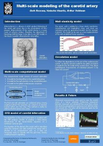 Multiscale modeling of the carotid artery Gerk Rozema