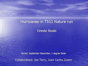 Hurricanes in T 511 Nature run Oreste Reale