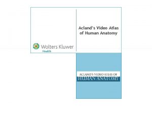 Aclands Video Atlas of Human Anatomy Acland Anatomy