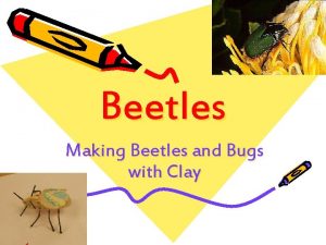 Beetles Making Beetles and Bugs with Clay Beetles