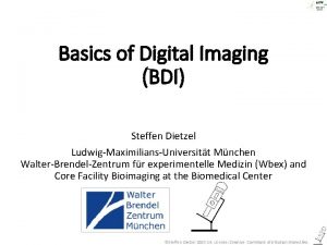 Basics of Digital Imaging BDI Steffen Dietzel LudwigMaximiliansUniversitt