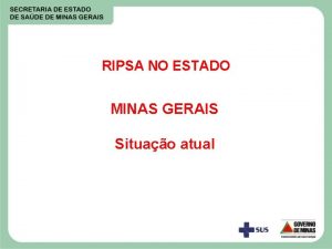 RIPSA NO ESTADO MINAS GERAIS Situao atual Situao