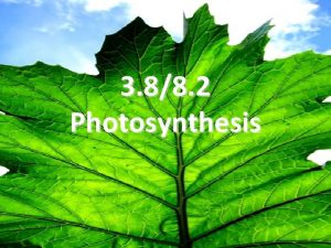 3 88 2 Photosynthesis Photosynthesis Plants convert light