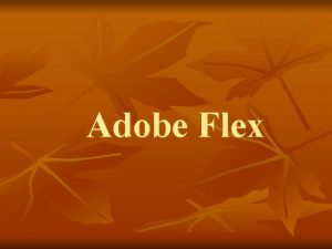 Adobe Flex NGN NG CA ADOBE n n