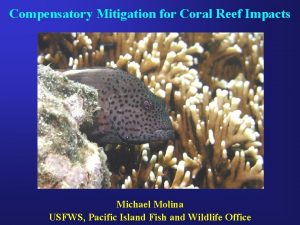 Compensatory Mitigation for Coral Reef Impacts Michael Molina