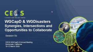 Committee on Earth Observation Satellites WGCap D WGDisasters