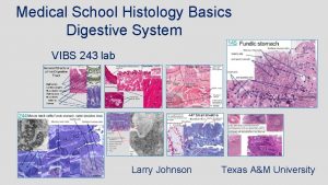 Medical School Histology Basics Digestive System VIBS 243