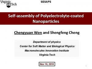 SESAPS Selfassembly of Polyelectrolytecoated Nanoparticles Chengyuan Wen and