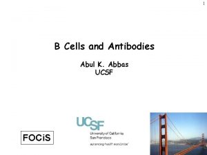 1 B Cells and Antibodies Abul K Abbas