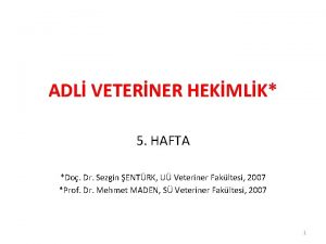 ADL VETERNER HEKMLK 5 HAFTA Do Dr Sezgin