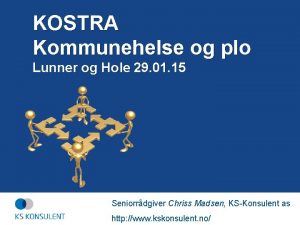 KOSTRA Kommunehelse og plo Lunner og Hole 29