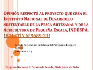 OPININ RESPECTO AL PROYECTO QUE CREA EL INSTITUTO