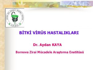 BTK VRS HASTALIKLARI Dr Aydan KAYA Bornova Zirai