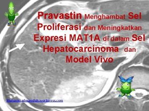 Pravastin Menghambat Sel Proliferasi dan Meningkatkan Expresi MAT