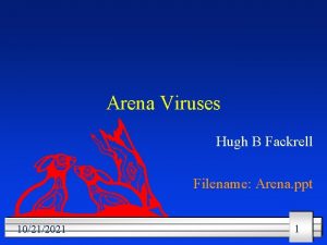 Arena Viruses Hugh B Fackrell Filename Arena ppt