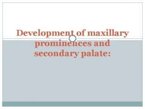 Development of maxillary prominences and secondary palate New