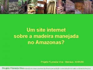 Um site internet sobre a madeira manejada no