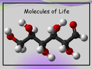Molecules of Life Introduction to Organic Molecules 2