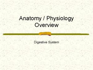 Anatomy Physiology Overview Digestive System Digestive System Digestion