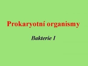 Prokaryotn organismy Bakterie I Systm bakteri systm zaloen