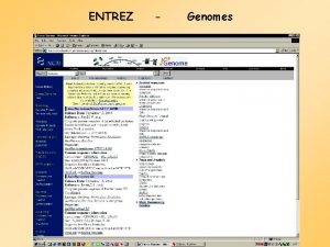 ENTREZ Genomes Map Viewer I Map Viewer II