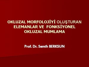 OKLUZAL MORFOLOJY OLUTURAN ELEMANLAR VE FONKSYONEL OKLUZAL MUMLAMA