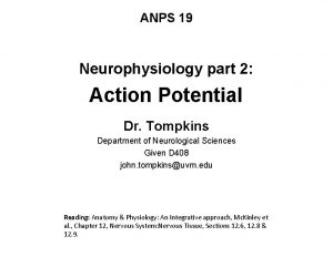 ANPS 19 Neurophysiology part 2 Action Potential Dr