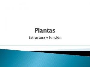 Plantas Estructura y funcin Todas las plantas comparten